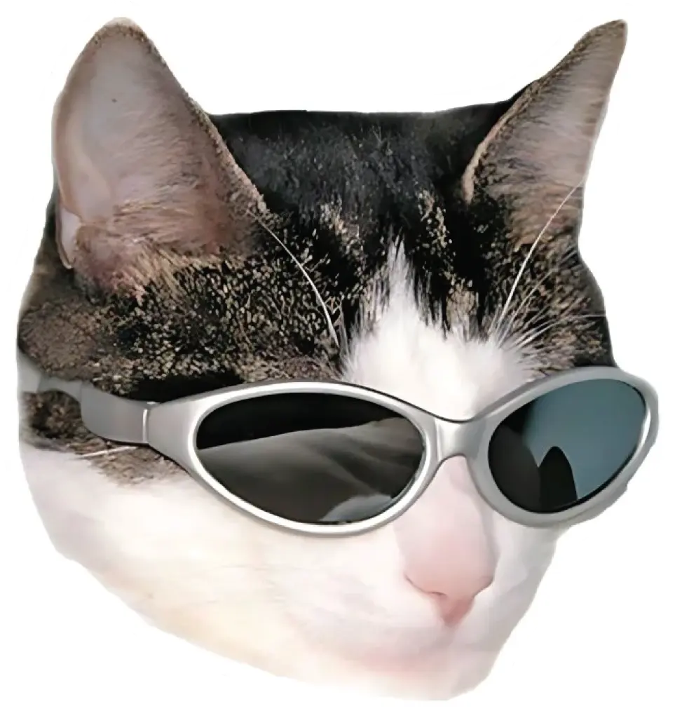 Shady Cat