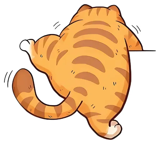 Ginger Cat